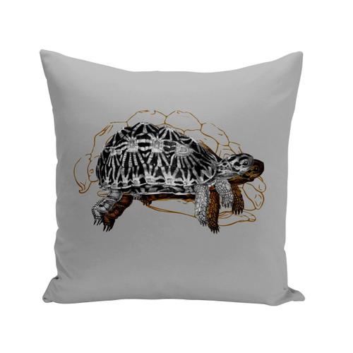 Housse De Coussin 40x40 Cm Tortue Minimaliste Biologie Illustration Ancienne