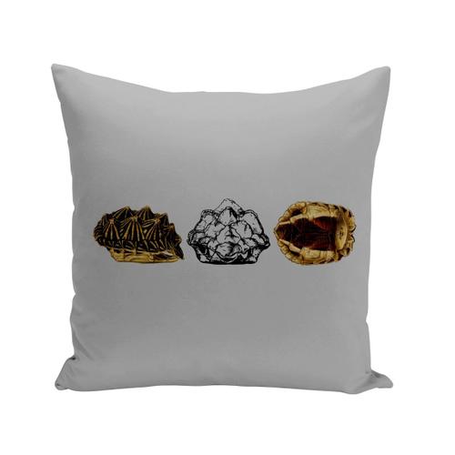 Housse De Coussin 40x40 Cm Carapace Tortue Minimaliste Biologie Illustration Ancienne