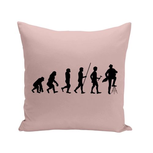 Housse De Coussin 40x40 Cm Evolution Vielle À Roue Musique Instrument Musicien