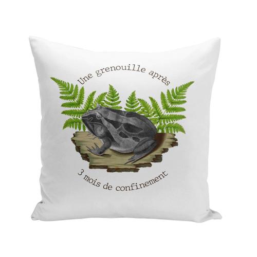 Housse De Coussin 40x40 Cm Grenouille Boulimique Confinement Biologie Illustration