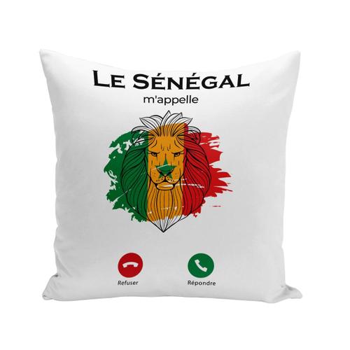 Housse De Coussin 40x40 Cm Le Sénégal M'appelle Voyage Lion Afrique