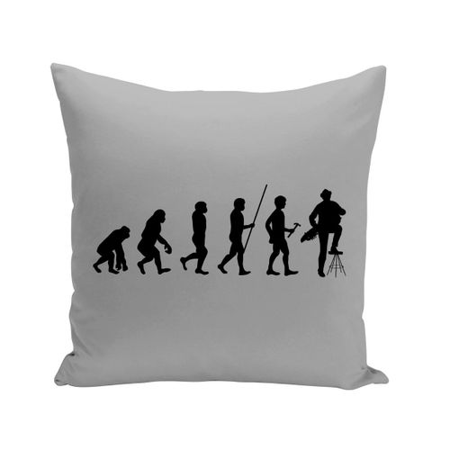 Coussin 40x40 Cm Evolution Vielle À Roue Musique Instrument Musicien