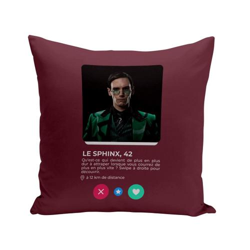 Coussin 40x40 Cm Sphinx Comics Bd Réseau Social Rencontre Amour