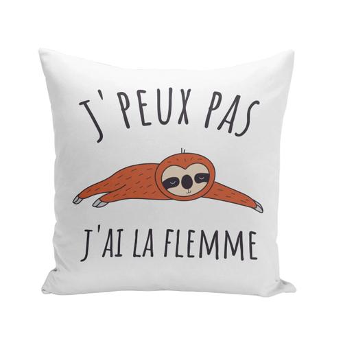 Coussin 40x40 Cm J'peux Pas J'ai La Flemme Paresseux Illustration