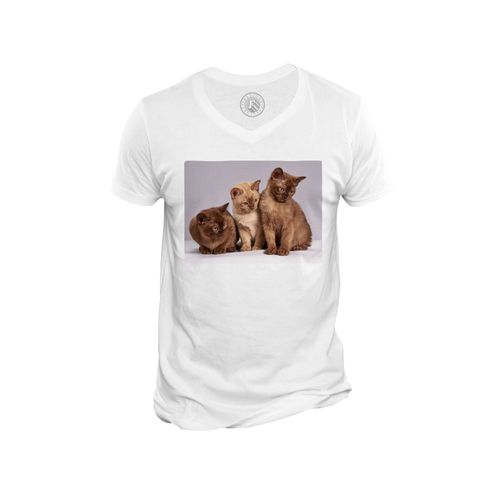 T-Shirt Homme Col V Bebe Chats Siamois Persan Poils Longs Chat Trio Mignon
