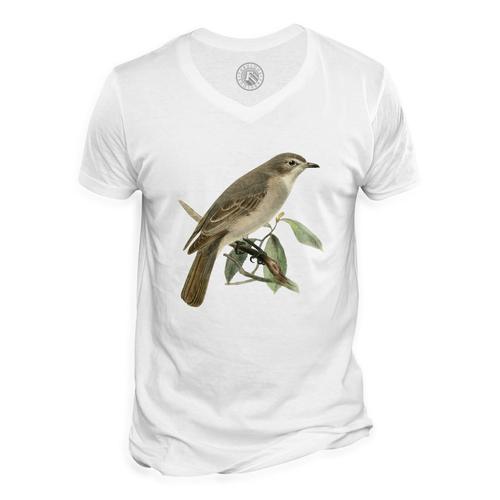 T-Shirt Homme Col V Oiseau Perché Planches Biologie Faune Illustration Ancienne