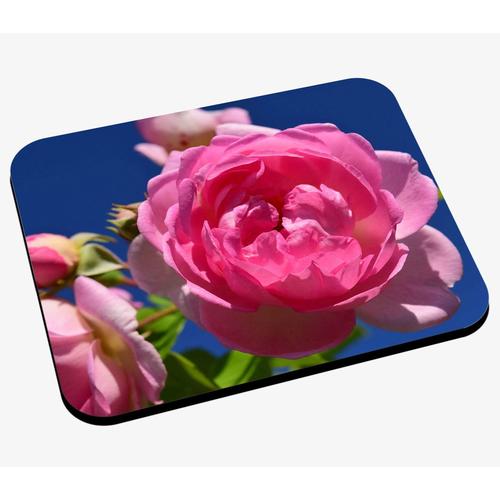 Tapis de Souris Fleur de Pivoine Rose Nature