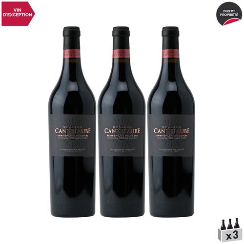 Château Cantelaube Saint-Emilion Grand Cru Rouge 2017 X3