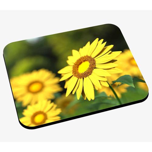 Tapis de Souris Fleur Jaunes Auréoles de Pistils Champêtre Nature