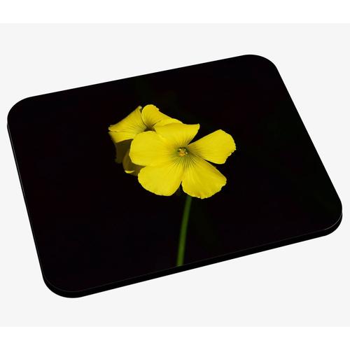 Tapis de Souris Bouton d'Or sur Fond Noir