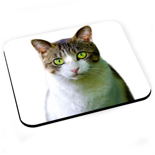 Tapis de Souris Chat Europeen Blanc et Tigre Yeux Verts Mignon