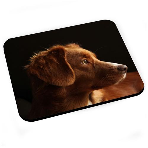 Tapis de Souris Portrait Chien de Chasse Marron Magnifique Yeux Jaunes Mignon