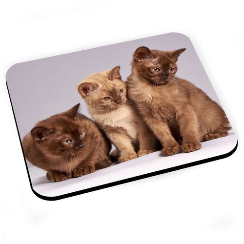 Tapis de Souris Bebe Chats Siamois Persan Poils Longs Chat Trio Mignon