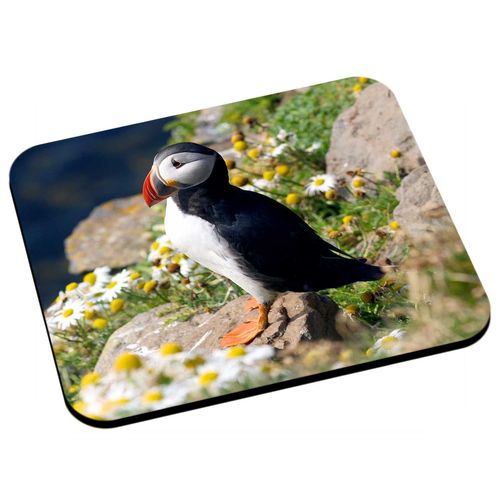 Tapis de souris macareux fraterculini oiseaux marins