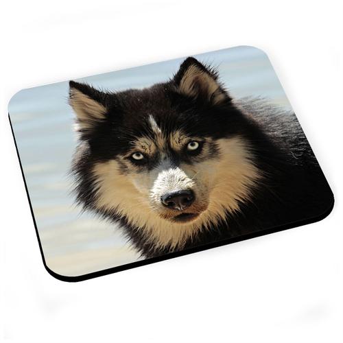 Tapis de Souris Husky Chien Loup Noir Portrait Yeux Bleus Plage