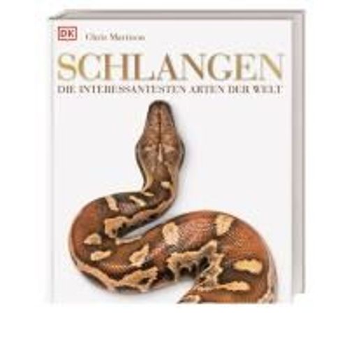 Schlangen
