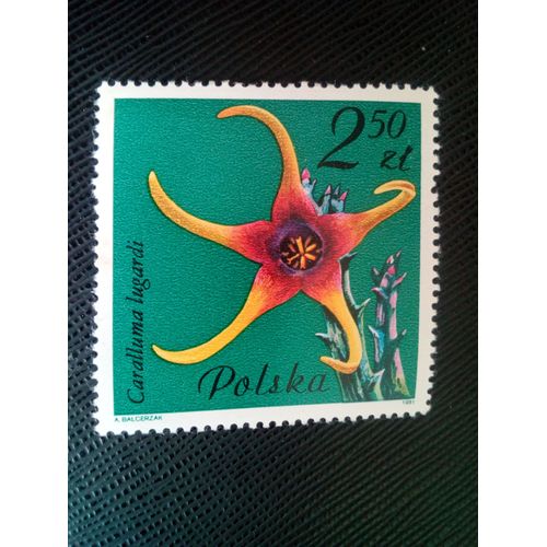 Timbre Pologne Yt 2603 Caralluma Lugardi - Asclépiadacées 1981 ( 100805 )