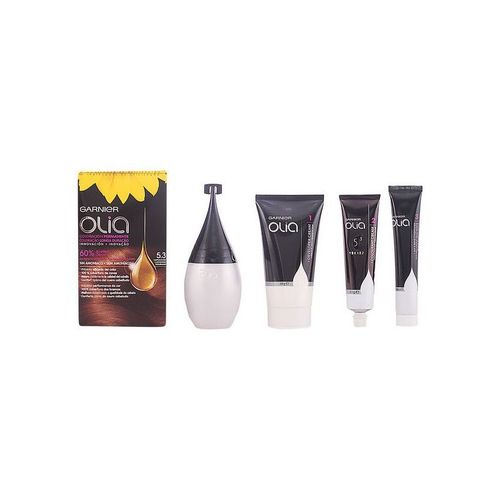Garnier Olia Permanent Coloring 5,3 Capuccino 