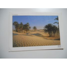 Tunisie Carte Couleur Le Sahara Du Côté De Sabria (N°297 Éd Tunisie Lumière)