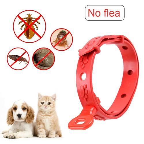 2pcs-42cm -Chats Chiens Anti Puces Collier Chien Chat Lapin Cou Sangle Anti Puces Acari Tique Remède Collier Pour Animaux De Compagn