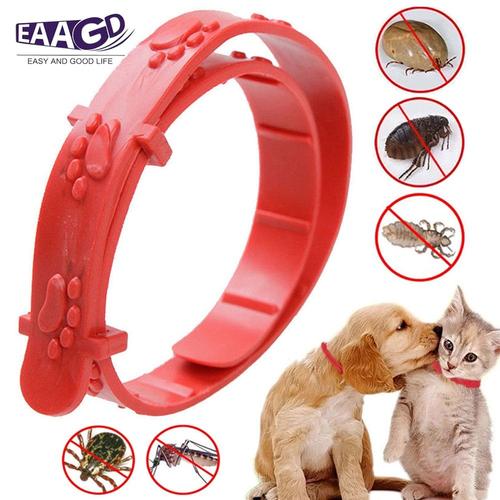 Anti-Flea Dog Collar -Collier Anti Puces Pour Chien, Pour Prévenir Les Tiques, Les Moustiques Et Les Insectes, Taille Ajustable De 4