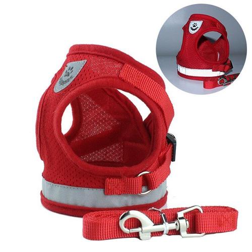 Red-L -Harnais Réfléchissant Avec Laisse En Nylon Pour Chien, Crochet Métallique, Corde Pour Animal De Compagnie, En Plomb, Pour Cha