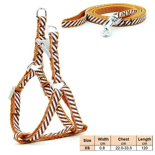 Brown Stripes-Xs -Harnais À Laisse Pour Animaux Domestiques, Collier Pour Chiens Et Chats, Pour Chiots, Petits Chats, Pour Marcher E