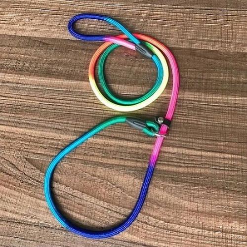 Rainbow Color-1.0cmx150cm -Laisse En Chaîne P Arc En Ciel Pour Chiens, Collier Coulissant, Laisse De Marche Pour Animaux De Compagni