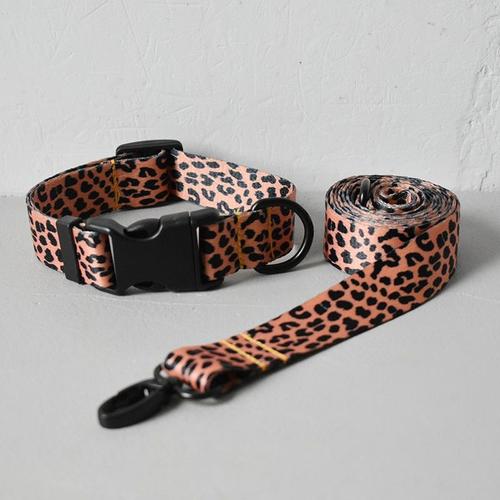 Collar And Leash Set-M -Accessoires Pour Animaux De Compagnie De Couleur Léopard Samoyed Colliers De Chien De Concepteur Leashbeagle