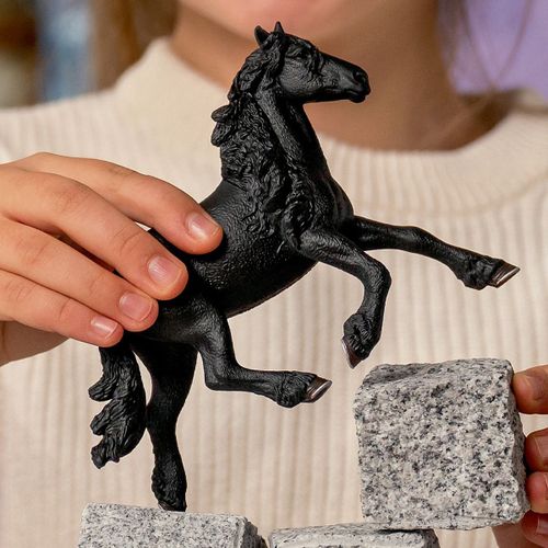 Horse Club Étalon Frison