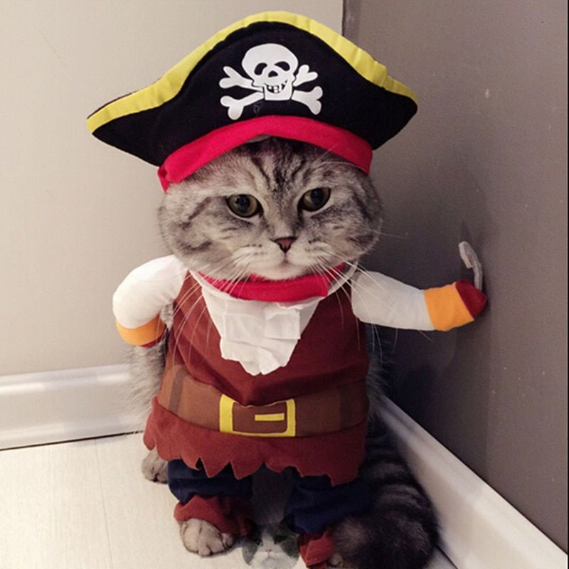 Cat Kimono Suit M Vetements De Deguisement Pirate Pour Chat Deguisement Corsaire D Halloween Costume De Fete Deguisement De Rakuten