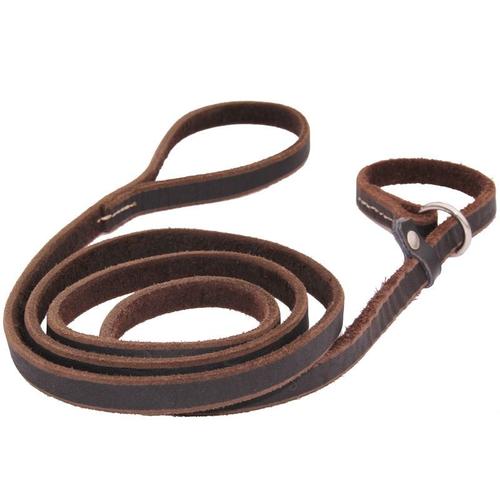 Brown-1.2cmx170cm -Cuir Véritable Pour Chiens, Collier Coulissant En Chaîne P Pour Animaux De Compagnie, Corde De Traction, Pour Gra