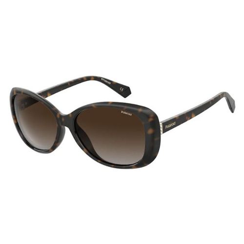 Lunette De Soleil  Polaroid Havana - L