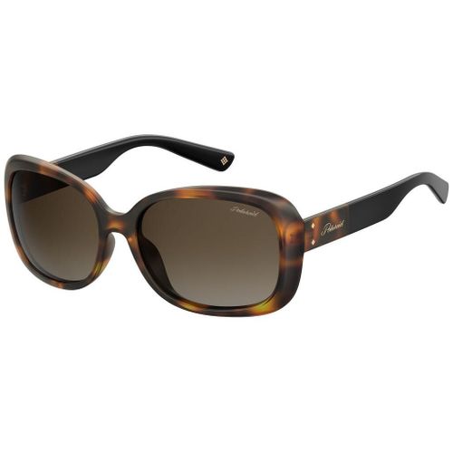 Lunette De Soleil  Polaroid Havana - L