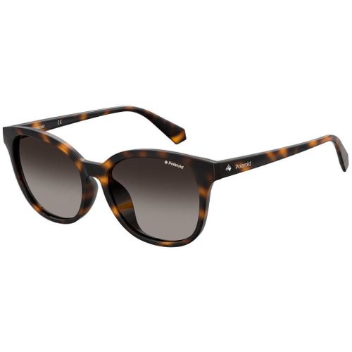 Lunette De Soleil Panto Polaroid Havana - M