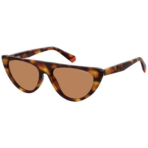 Lunette De Soleil  Polaroid Havana - M