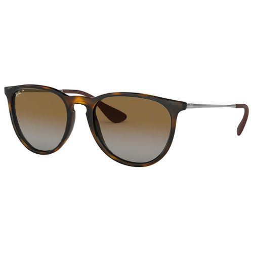 Lunette De Soleil Panto Ray-Ban Havana - L