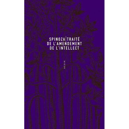 Traité De L'amendement De L'intellect