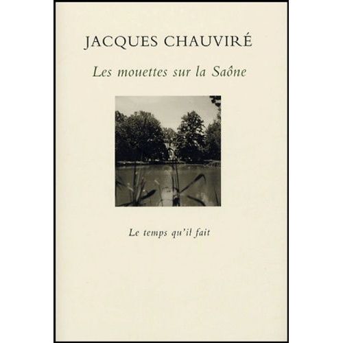 Les Mouettes Sur La Saône