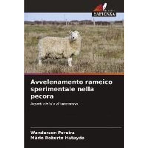 Avvelenamento Rameico Sperimentale Nella Pecora