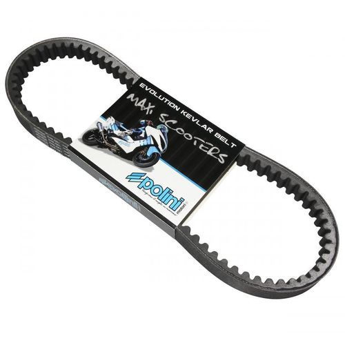 Courroie De Transmission Polini Pour Scooter Aprilia 125 Sr Max 2010 À 2020 Neuf