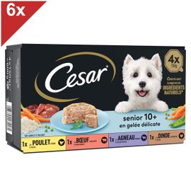 Cesar Barquette De Gelée - Pour Chien Senior - 4x150g (X6)