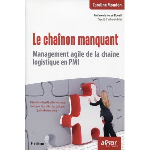 Le Chaînon Manquant - Management Agile De La Chaîne Logistique En Pmi