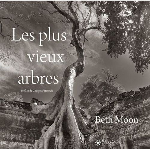 Les Plus Vieux Arbres