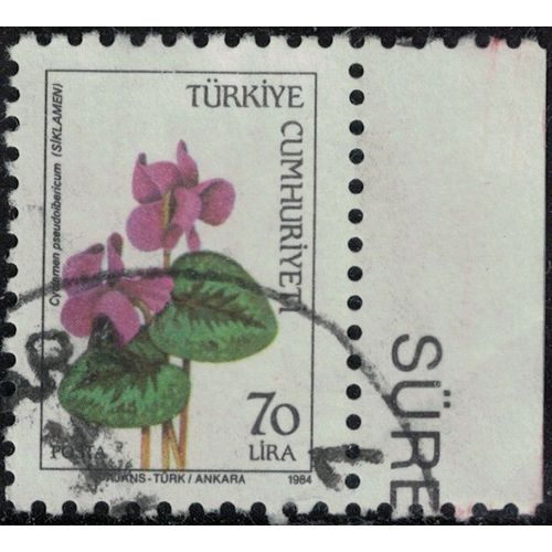 Turquie 1984 Oblitéré Used Plante Fleur Cyclamen Pseudoibericum Pseudibericum Su