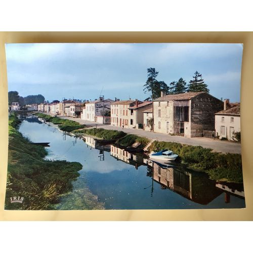 Marais Poitevin La Sèvre À Coulon
