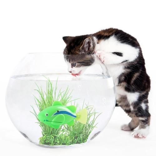 Jouet Poisson Chat, Led Alimenté Par Batterie, Jouet Poisson De Natation, Avec Mauvaises Herbes Aqua Green B