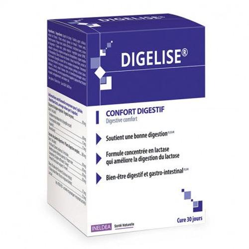 Digelise 90 Gelules Ineldea 