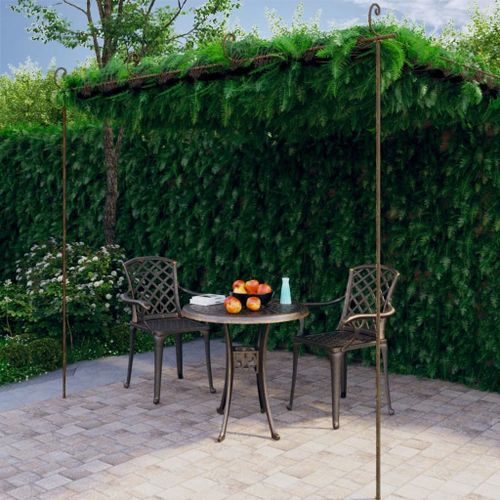 Vidaxl Arche De Rosiers De Jardin Marron Antique 4x3x2,5 M Fer