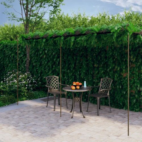 Vidaxl Arche De Rosiers De Jardin Marron Antique 6x3x2,5 M Fer